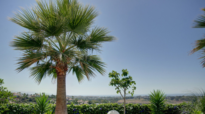 Málaga - Benahavís - 806m2
