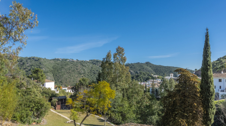 Málaga - Benahavís - 17051m2
