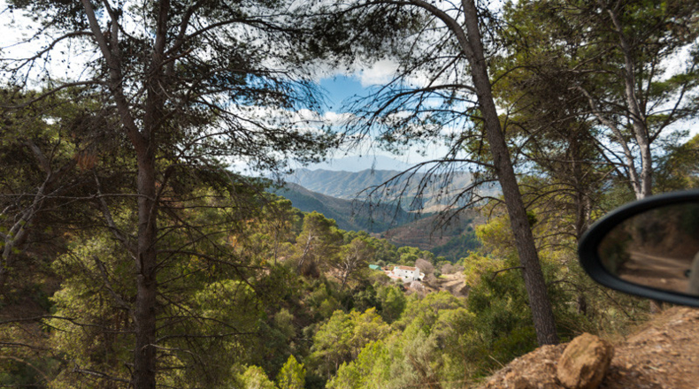 Málaga - Málaga - 60750m2