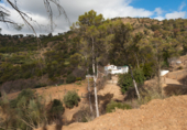 Vil·la amb terreny en venda a Màlaga ref.: TR254372 foto