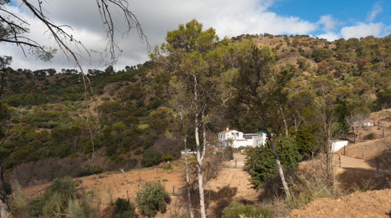 Málaga - Málaga - 60750m2