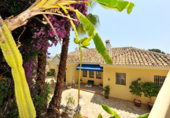 Vil·la amb terreny en venda a Mijas ref.: TR254373 foto
