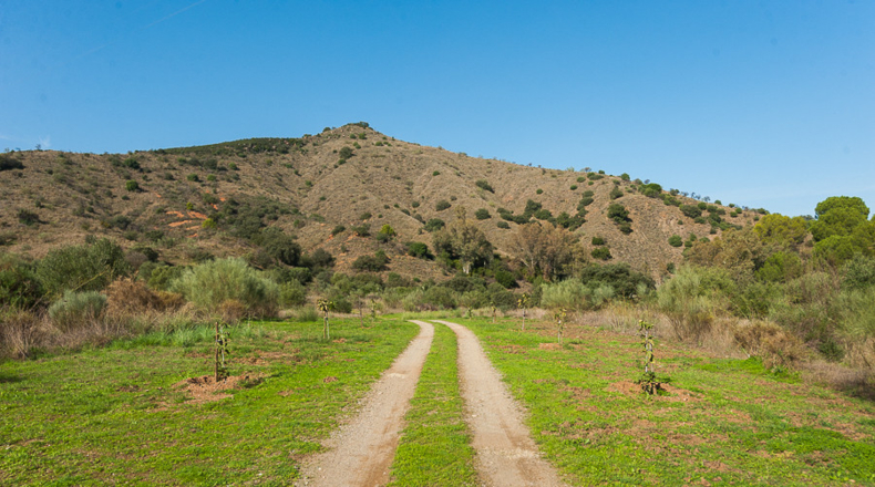 Málaga - Sierra Gorda - 600000m2
