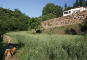 Vil·la amb terreny en venda a Benahavís ref.: TR106670 foto