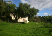 Vil·la amb terreny en venda a Benahavís ref.: TR106670 foto