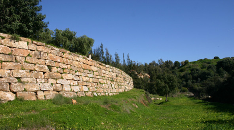 Malaga - El Paraíso Alto - 5842m2