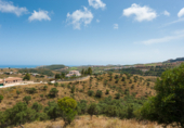 Terreny no urbanitzable en venda a Mijas ref.: TR107671 foto