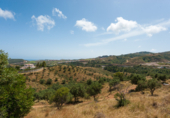 Terreny no urbanitzable en venda a Mijas ref.: TR107671 foto