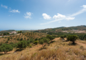 Terreny no urbanitzable en venda a Mijas ref.: TR107671 foto