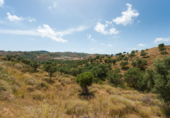 Terreny no urbanitzable en venda a Mijas ref.: TR107671 foto