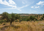 Terreny no urbanitzable en venda a Mijas ref.: TR107671 foto
