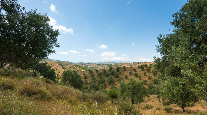 Málaga - Las Lagunas - 44704m2