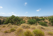 Terreny no urbanitzable en venda a Mijas ref.: TR107671 foto