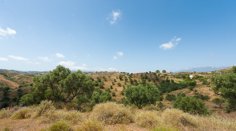 Málaga - Las Lagunas - 44704m2