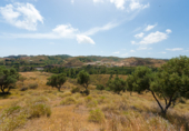 Terreny no urbanitzable en venda a Mijas ref.: TR107671 foto