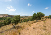 Terreny no urbanitzable en venda a Mijas ref.: TR107671 foto