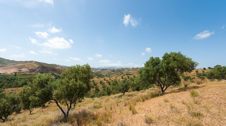 Málaga - Las Lagunas - 44704m2