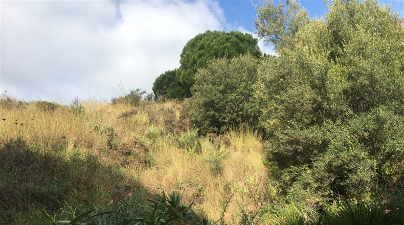 Málaga - Mijas - 2325m2