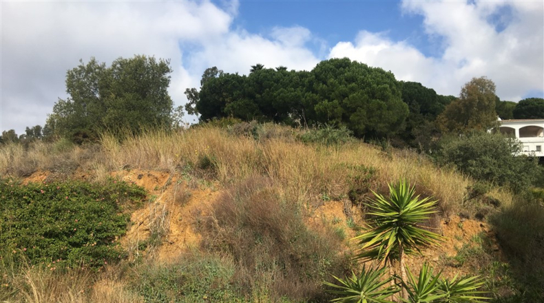 Málaga - Mijas - 2325m2