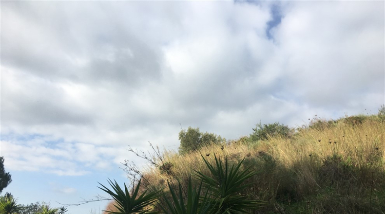 Málaga - Mijas - 2325m2