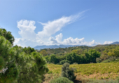 Vil·la amb terreny en venda a Marbella ref.: TR106661 foto