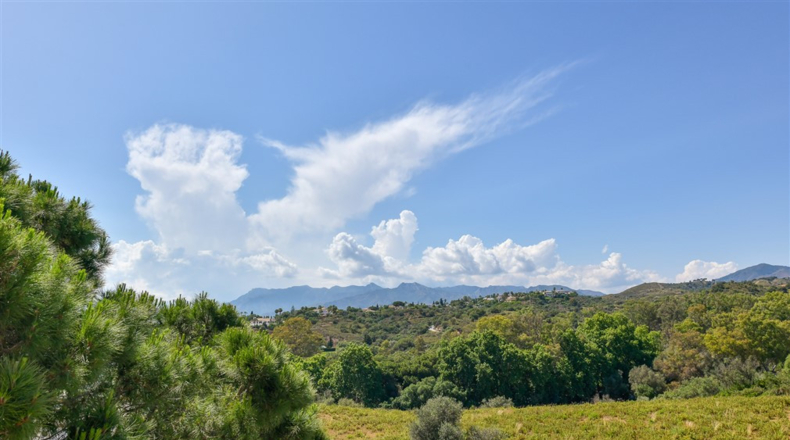 Malaga - Marbella - 500m2