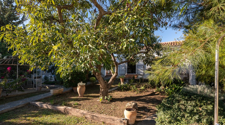 Malaga - San Pedro de Alcántara - 700m2