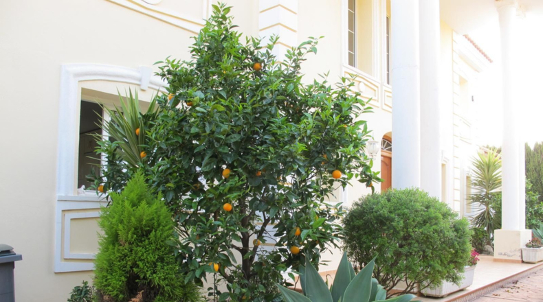 Málaga - Marbella - 1300m2