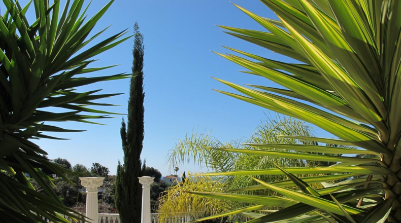 Málaga - Marbella - 1300m2