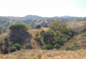 Vil·la amb terreny en venda a Mijas ref.: TR207094 foto