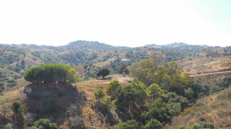 Malaga - Mijas - 1486m2