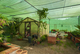 Foto 6