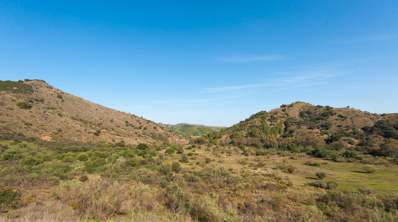 Málaga - Coín - 600000m2