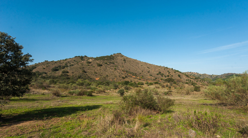 Málaga - Coín - 600000m2