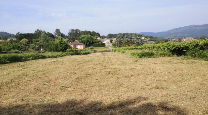 Pontevedra - Santa Xeve O Quinteiro - 4000m2
