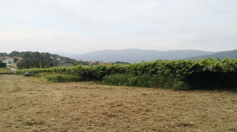 Pontevedra - Santa Xeve O Quinteiro - 4000m2