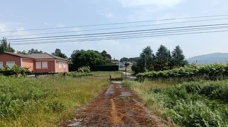 Pontevedra - Santa Xeve O Quinteiro - 4000m2