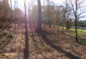 Non-developable land for sale in Pontevedra ref: TR15667 photo