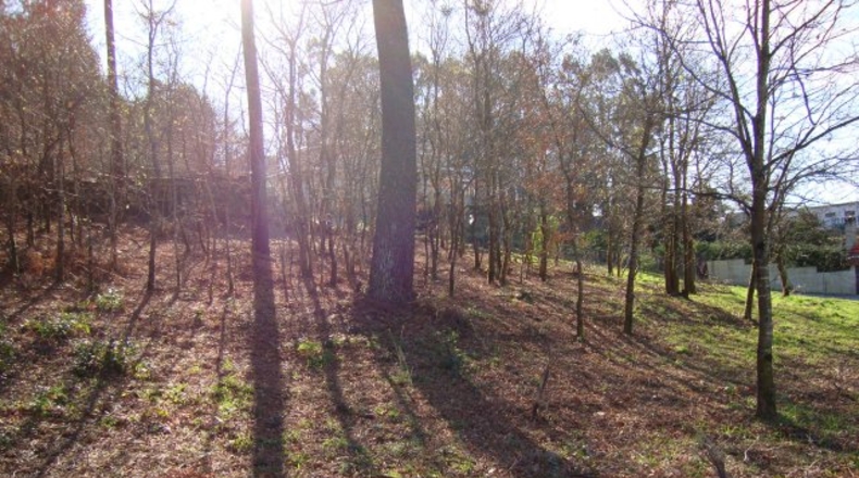 Pontevedra - Mourente - 1440m2
