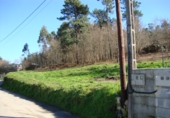Non-developable land for sale in Pontevedra ref: TR15667 photo