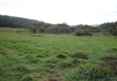 Non-developable land for sale in Pontevedra ref: TR15670 photo