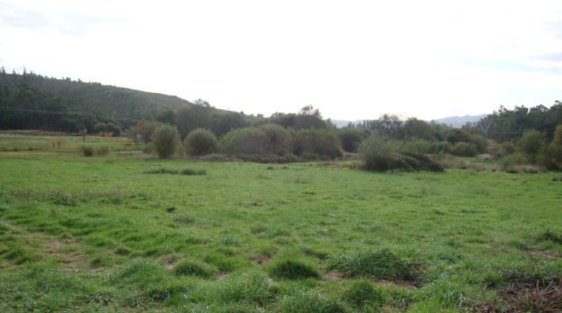 Pontevedra - Pontevedra - 8959m2