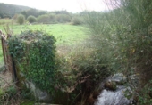 Non-developable land for sale in Pontevedra ref: TR15670 photo