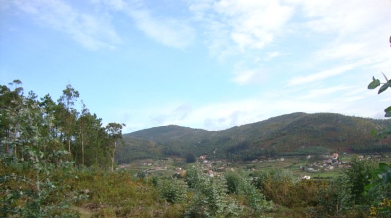 Pontevedra - Pontevedra - 20000m2