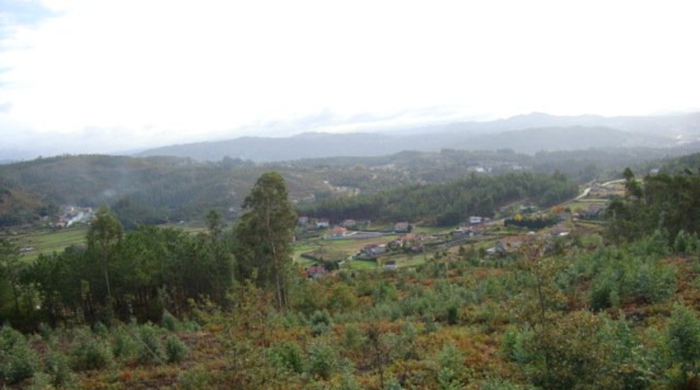 Pontevedra - Pontevedra - 20000m2