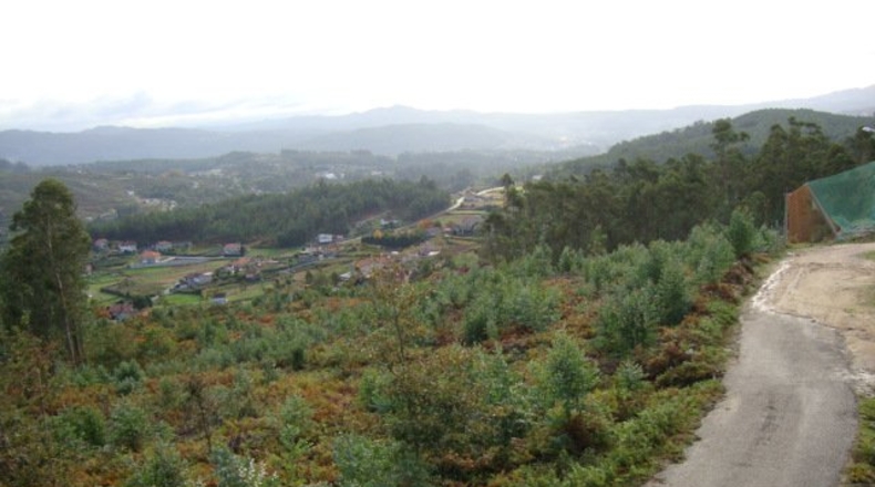 Pontevedra - Pontevedra - 20000m2