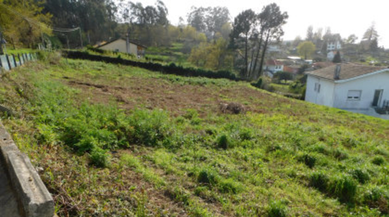 Pontevedra - O Pazo - 1650m2