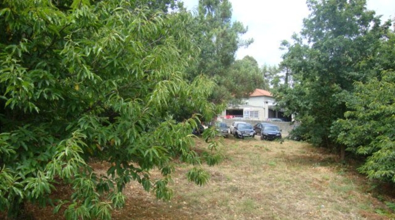 Pontevedra - Vilafranca - 1400m2