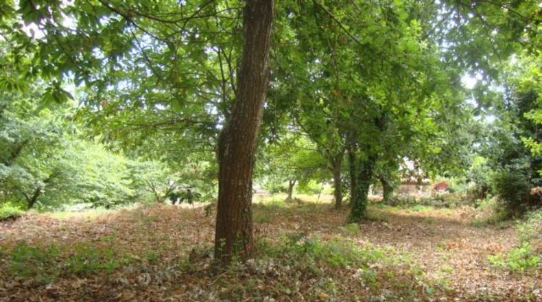 Pontevedra - Vilafranca - 1400m2