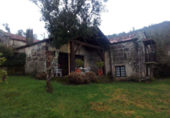 Finca rústica en venda a Cerdedo ref.: TR18788 foto